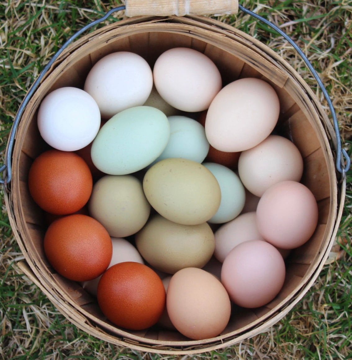 Farm Fresh Eggs