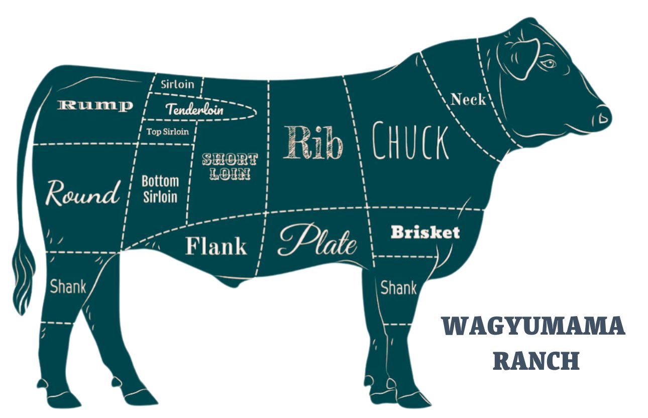 1/2 Wagyu Beef Deposit Pasture Raised Purebred Akaushi