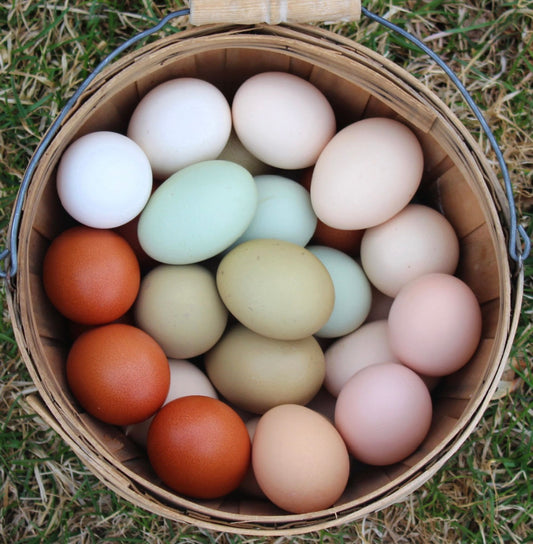 Farm Fresh Eggs