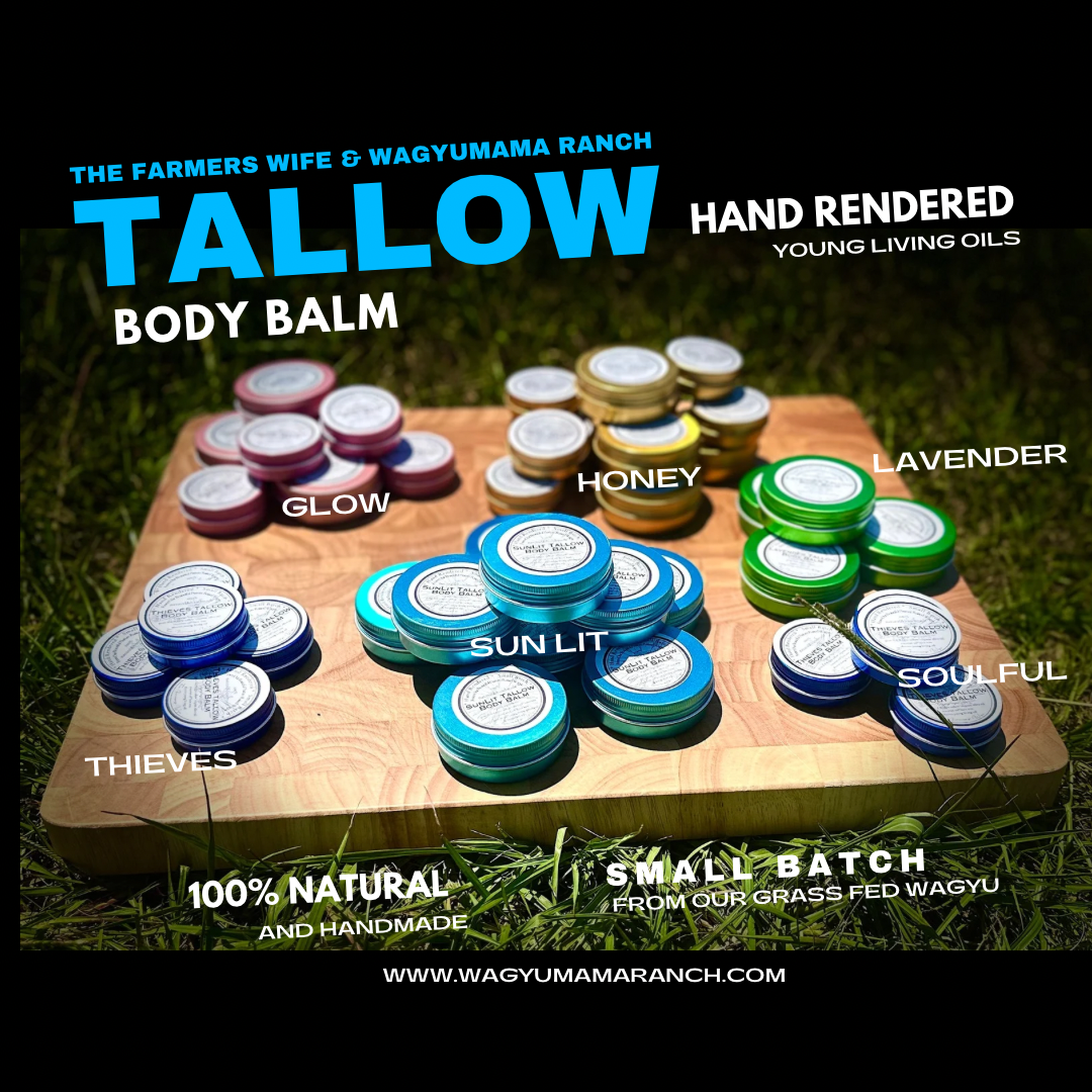 Tallow Body Balm