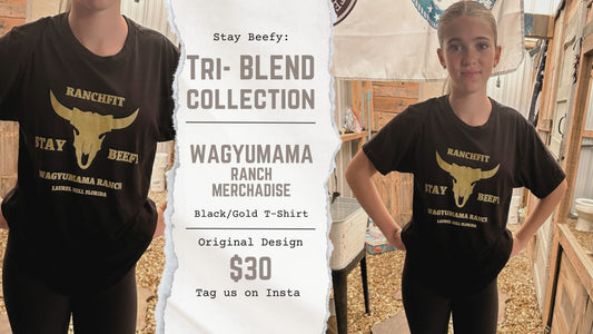 Tri-Blend Stay Beefy T-Shirt
